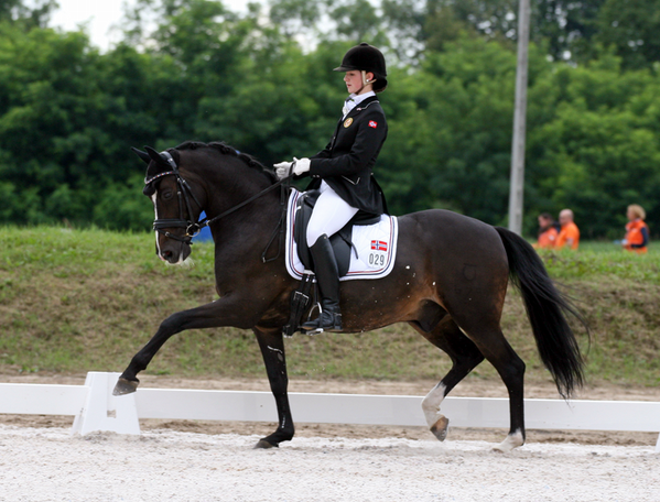 HerHorse's tweet photo. @ponyproblemss  #PonyProblemssPhotographyContest Dressage photo entry! :) http://t.co/ljgkhpOFJ8