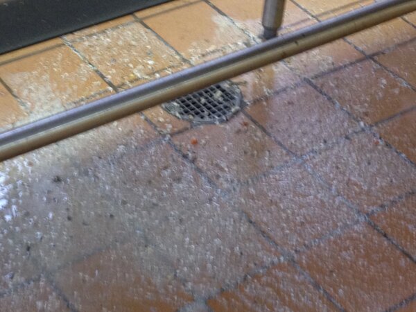 prettybiirrd's tweet image. This is how my day is going. #sewerproblems #gross