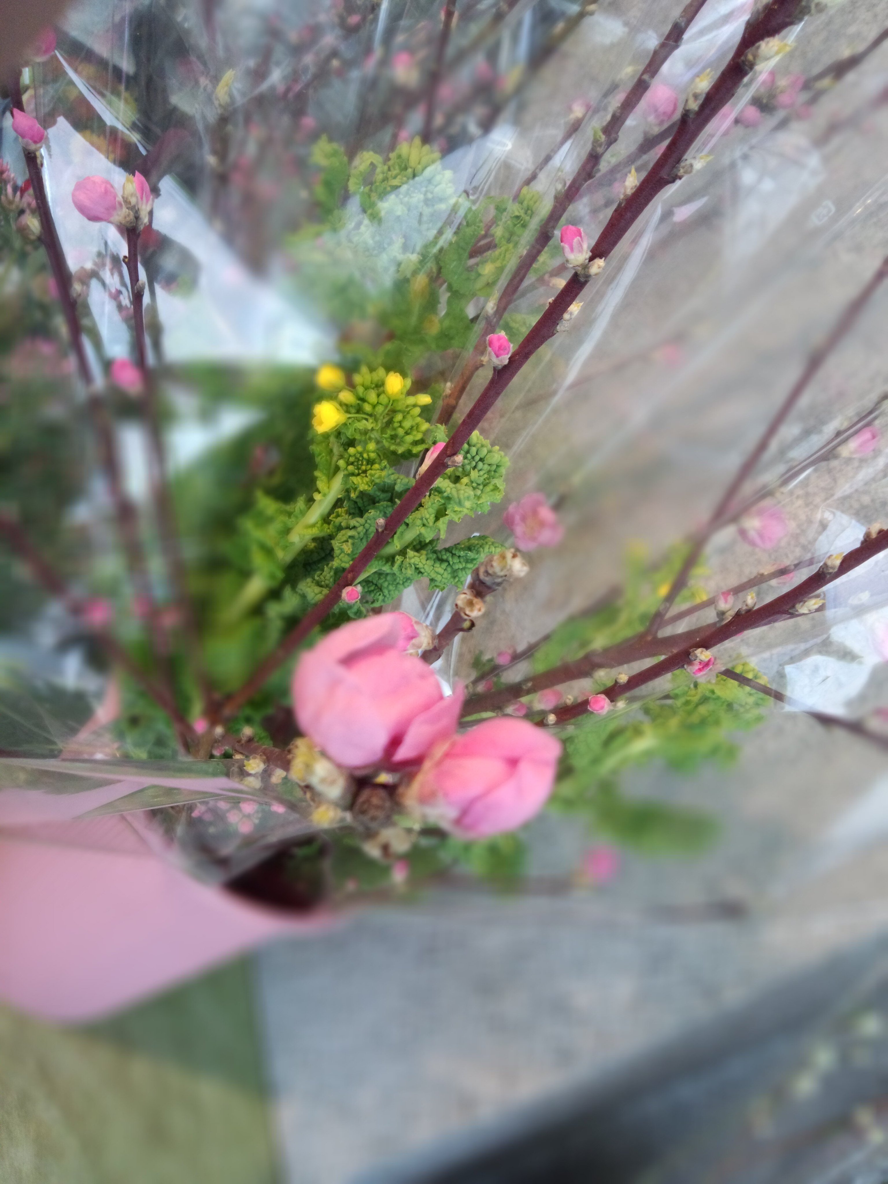 はら生花店 Haraseikaten Twitter