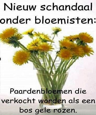KarolienHupkes's tweet photo. #Breakingnews !! #Wieisernogtevertrouwen? #lol. http://t.co/Hexixl1HHt
