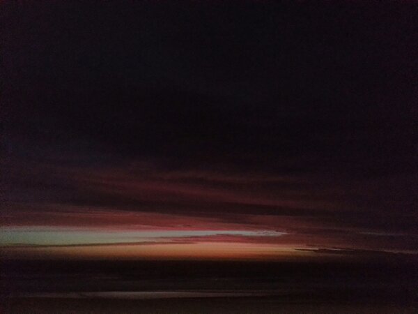 stedytwit's tweet image. Shark at bra this morning... but sunrise was awesome #shark #sunrise