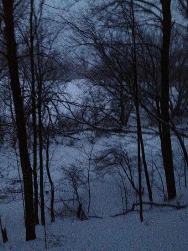 langmanagement's tweet photo. Snowshoeing with Harley! http://t.co/bDkT26I9cS