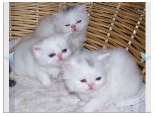 JulesLevin's tweet photo. Juleslevin http://t.co/zbgR8XO4hI