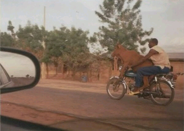 HashleyBlazen's tweet image. #meanwhileinindia  #howthe ...  #wtf #confused