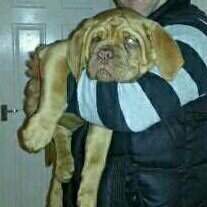 BennickD's tweet photo. Bentley http://t.co/qaChijI4fy