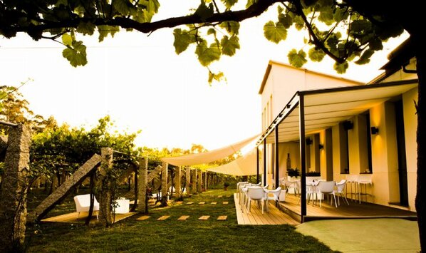 DonOlegario_'s tweet photo. Este verano tendremos novedades en nuestro #winebardonolegario. Os iremos informando!! http://t.co/kw6j6kBmrJ