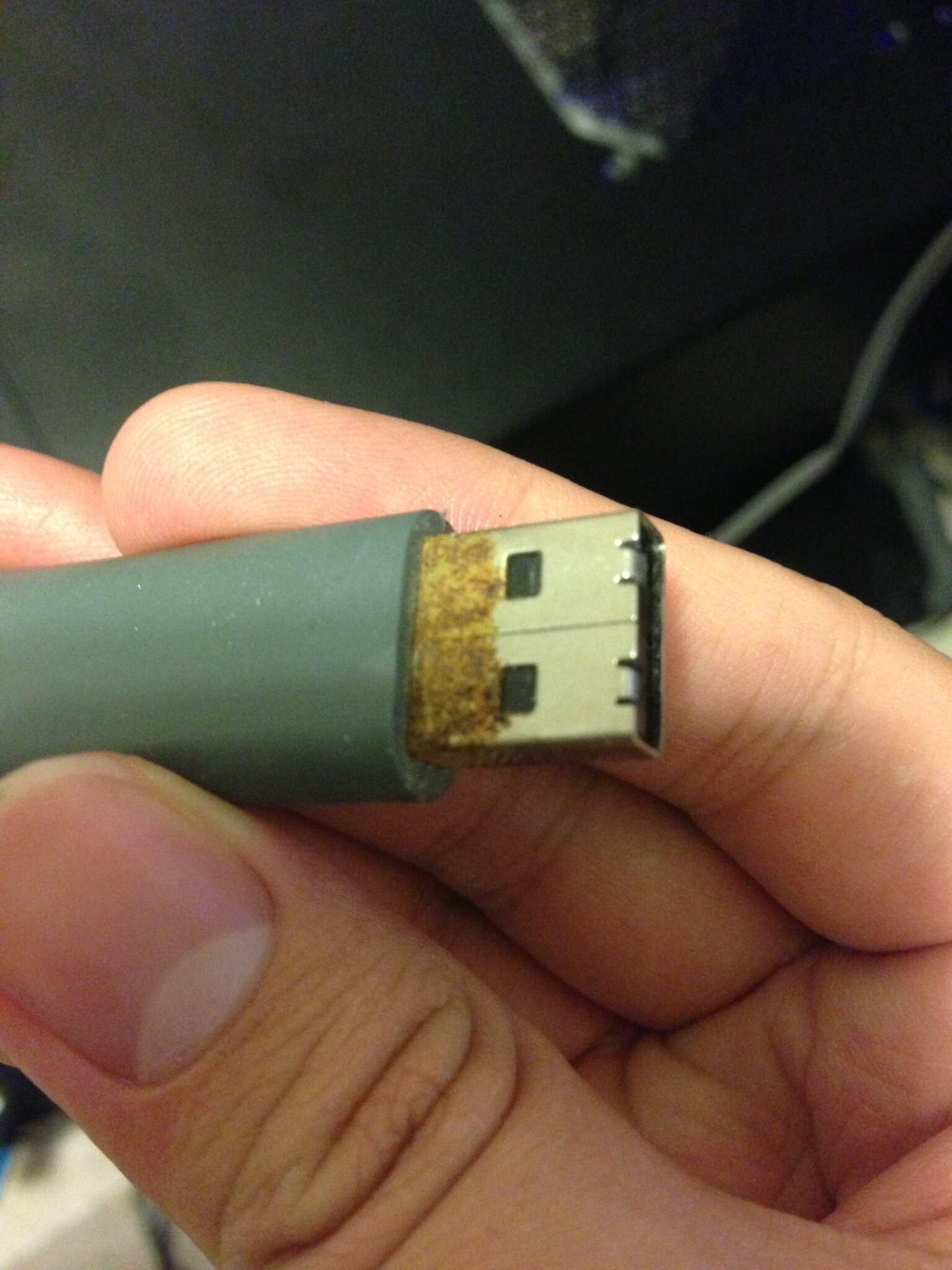 BELLCj8CIAEGD5X.jpg:large