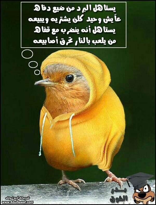 قطره من سحآب On Twitter يستاهل البرد من ضيع دفاه هع هع هع Http T Co R75qtu2j68
