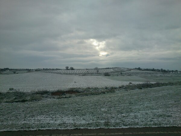 Así amaneció Villarejo de Salvanés #nieve