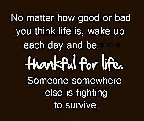 B3NJ4MM1N's tweet photo. Thankful for life ?. After coming so close to losing mine,I know I am #LuckyToBeAlive #LiveEachDayLikeItMayBeYourLast http://t.co/PcGTzWogsO