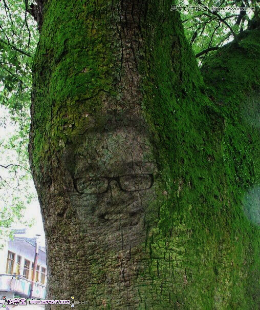 LongVen's tweet image. 