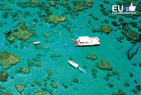 Mergulhar nos bancos de corais da Praia de Maracajaú é contemplar um dos mais belos cenários marinhos. Natal- RN