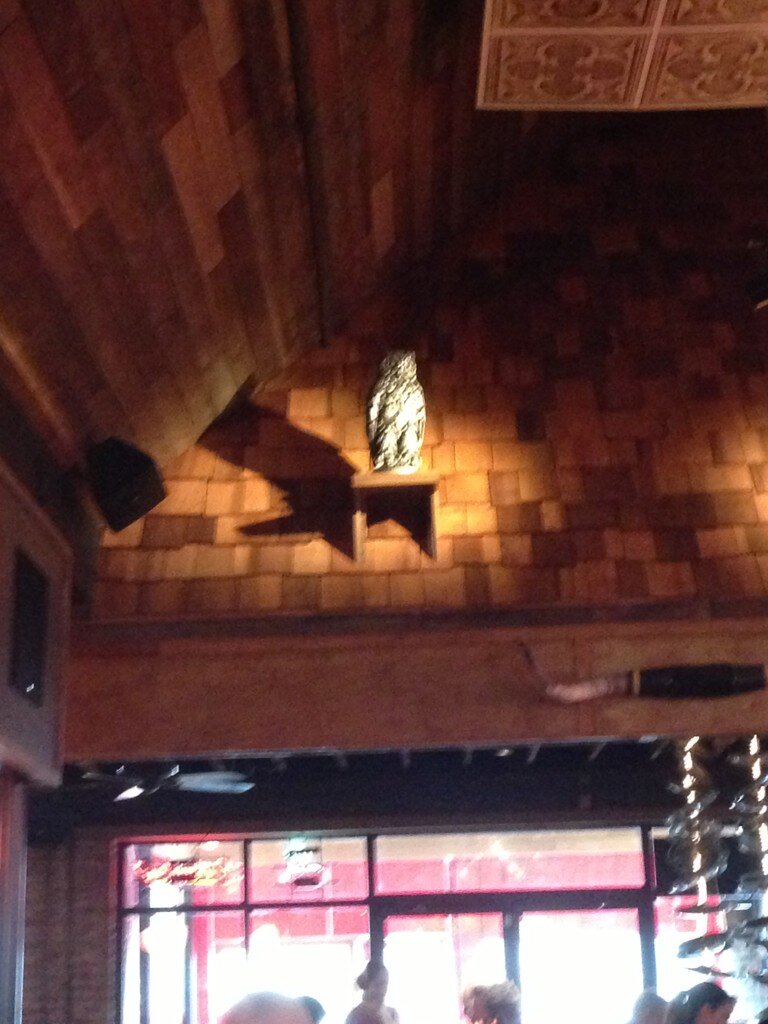 mc_bow's tweet image. @RhodesChiO #CreepyOwl #hoothoot #KappaBeta #alumlove