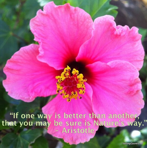 SailorDeCaptain's tweet photo. Aristotle on nature #SimpleJoysOfLife http://t.co/vOdQapiu4D