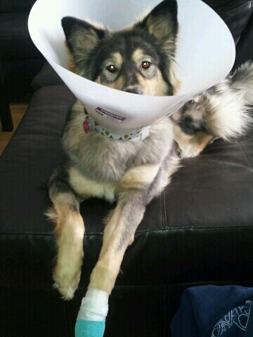ryan_george's tweet photo. They said I could become anything... so I became a lamp! http://t.co/pg01qdJKpf