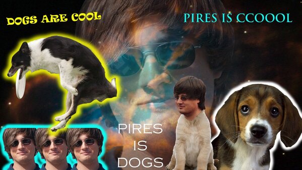 Dear_Service's tweet photo. @TedSeavey @therealdapires Dogs are cool, pires is cool therefore pires is dogs. Transitive property bro #dogs http://t.co/peBdk6IiSl