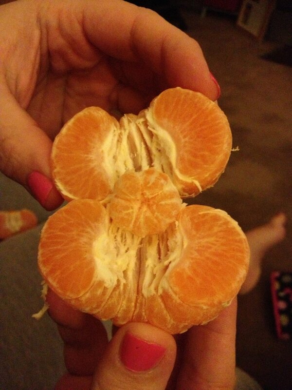 Amy_S_Gilbert's tweet photo. Satsuma baby!! http://t.co/Ihr1rrz30K