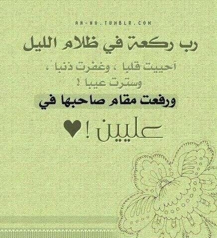 amalMohamad9 tweet picture