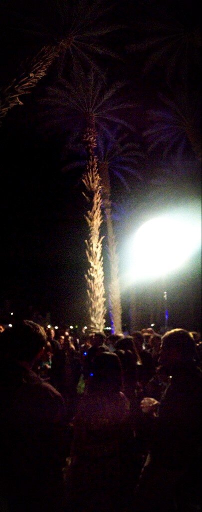 DanRavenEllison's tweet image. Team #ActiveLocal sharing under palms. What a great place to work!