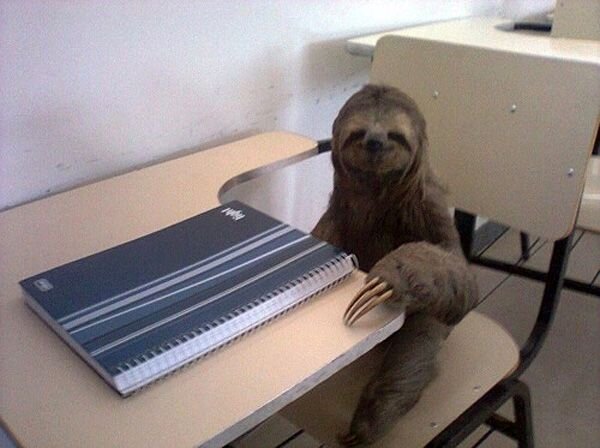 iLikeToSloth tweet picture