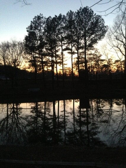 Camp Ozark tweet media