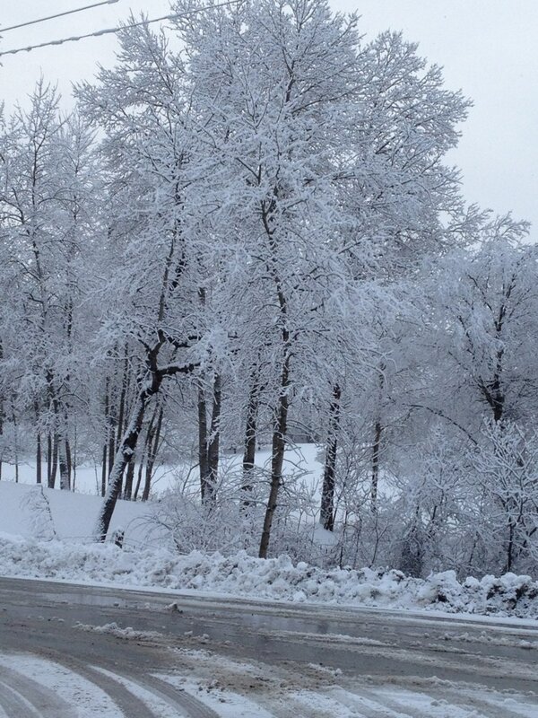 ThePrincesa's tweet photo. What a beautiful morning http://t.co/oQCCIGi7SA