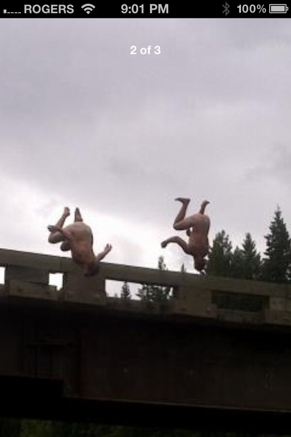 Tylaagrizz's tweet photo. There we are, just a couple of boys doing naked gainers #notgivenafuck #tbt http://t.co/14hDraTidc
