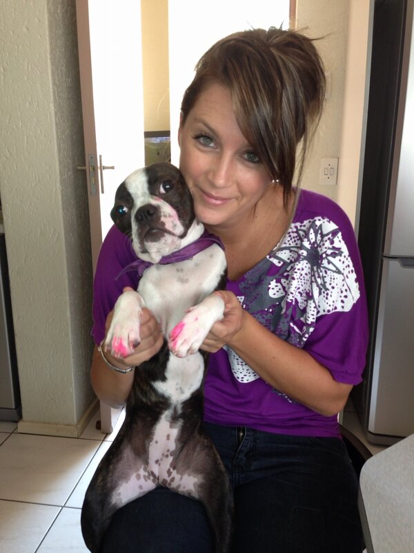NatalieOGSA's tweet photo. Parry got hold of a pink highlighter http://t.co/yiY3SOSRC4