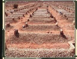 morde22's tweet image. 