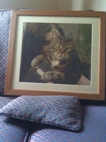 BeccaMoss21's tweet image. My 8th cross stitch is complete! Aug-feb well spent :) #cross stitch #Buttle