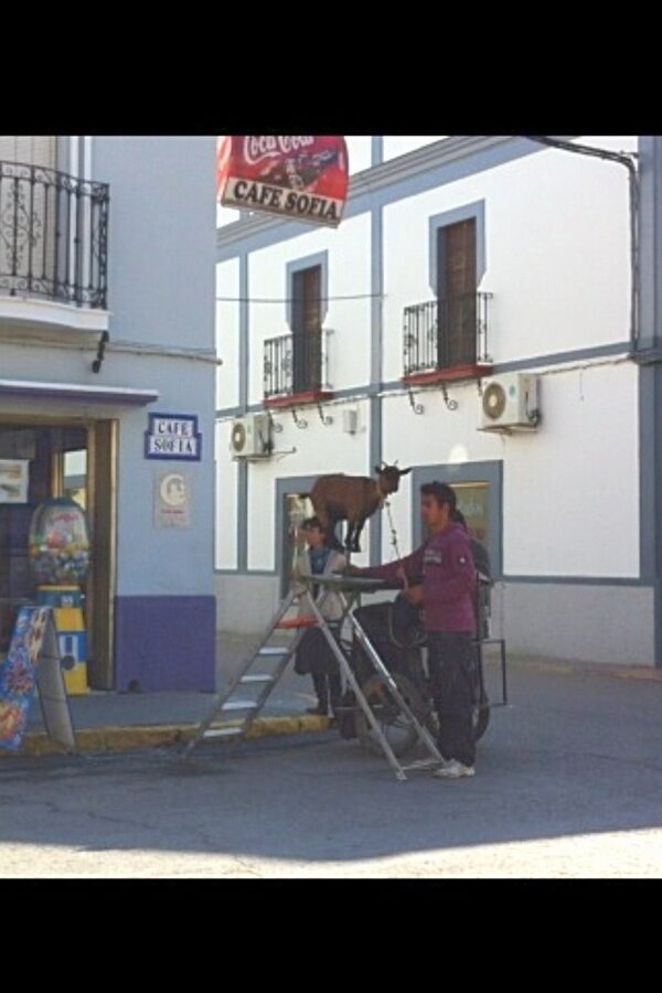 fatimavazquezca's tweet photo. #EresAndaluzsi te encuentras esto x la calle jaja http://t.co/eD2eIXzxUv