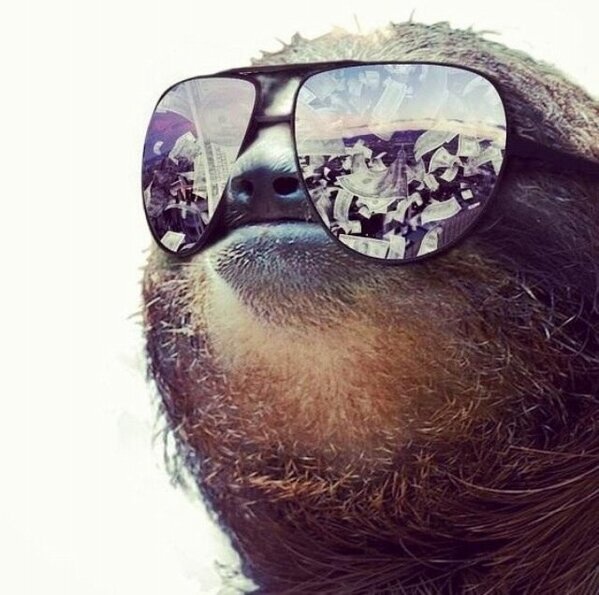 helloimsloth's tweet photo. Money, bitches, sloth http://t.co/1vnSd0t2iL
