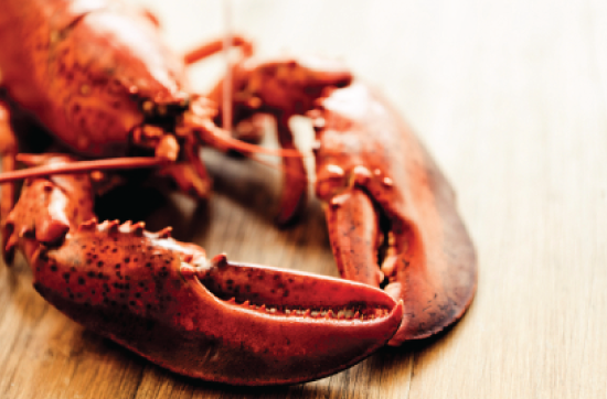 March 7th is Lobster Night at the Castle! 1.5 LB Maine lobster, sides &amp; drawn butter for $45, non-inclusive. Join us!