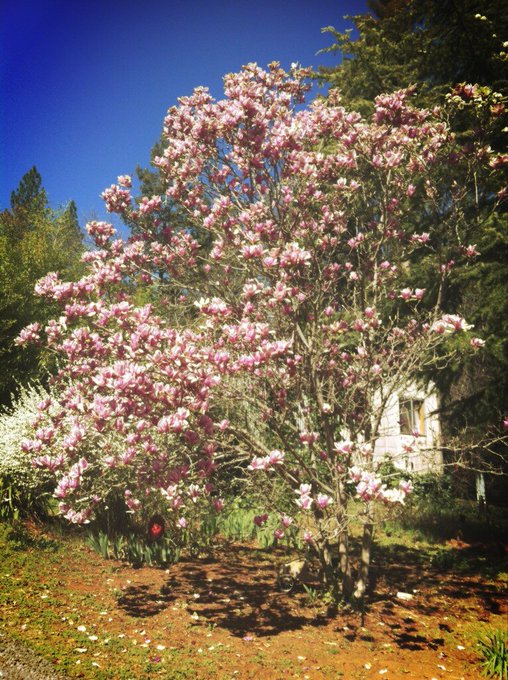 Watch Jǝѕѕica's leaked NSFW photo on TwXstars