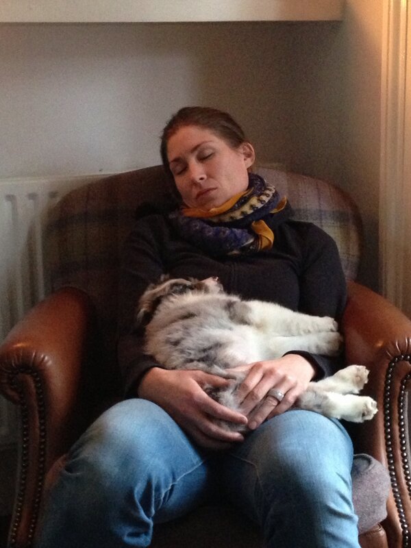 Cameron McKeown tweet media