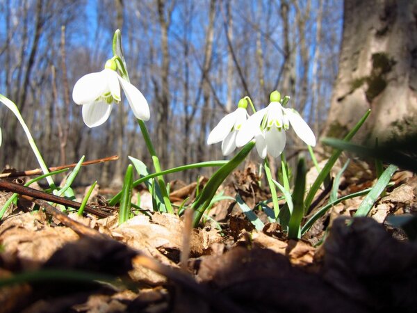 ЗробимоУкраїнуЧистою tweet media