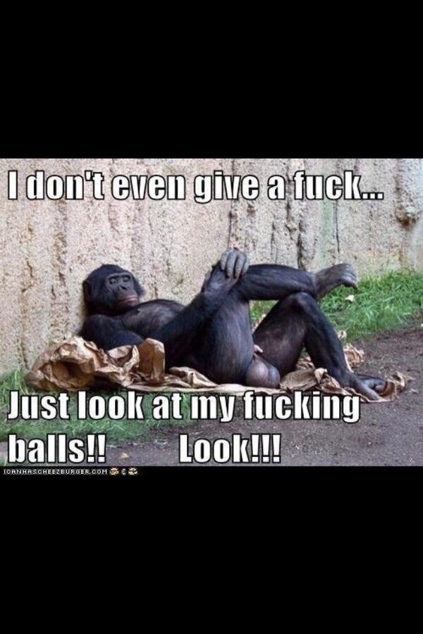 Shane03348651's tweet photo. That's what I'm talkin bout http://t.co/JIwjCteipz