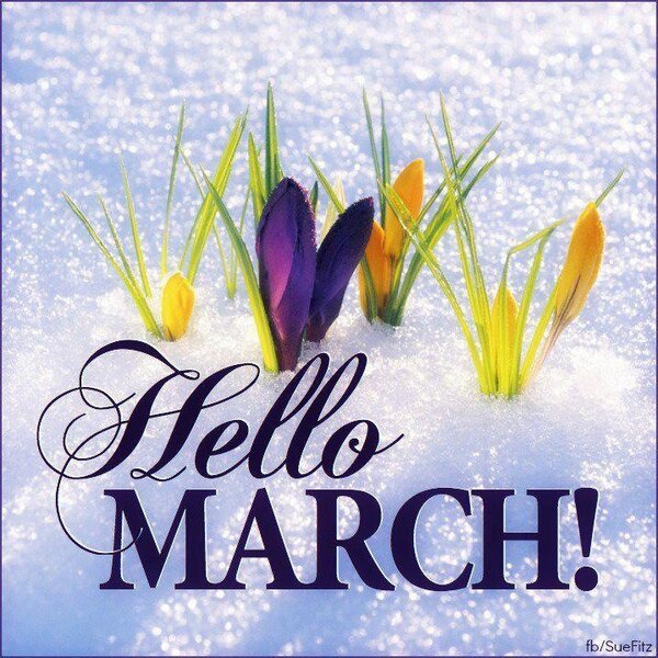 KGSDDailyLove's tweet photo. http://t.co/VmcW0SlEkl
