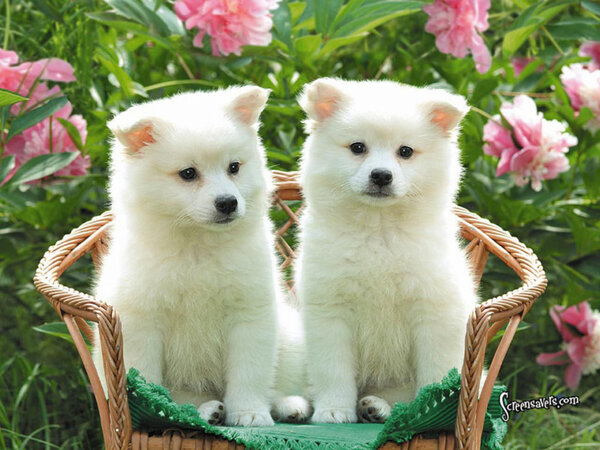 alanahaim's tweet photo. #dailycute http://t.co/VxzmgVG5NW