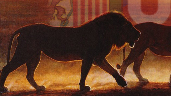 DCuencaOficial's tweet photo. Caminando hacia el "templo" para reunirnos con todos los "leones rojos". http://t.co/gY9chk5fNY