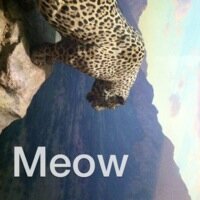 David Littlejohn tweet media