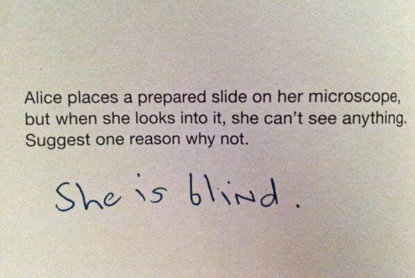 The_YUNiversity's tweet image. You really can’t argue with this student’s logic: