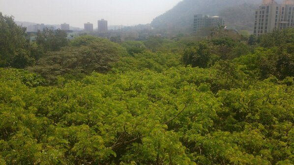 vishiiii's tweet image. View from 6th floor of TISS #ashagamedev
