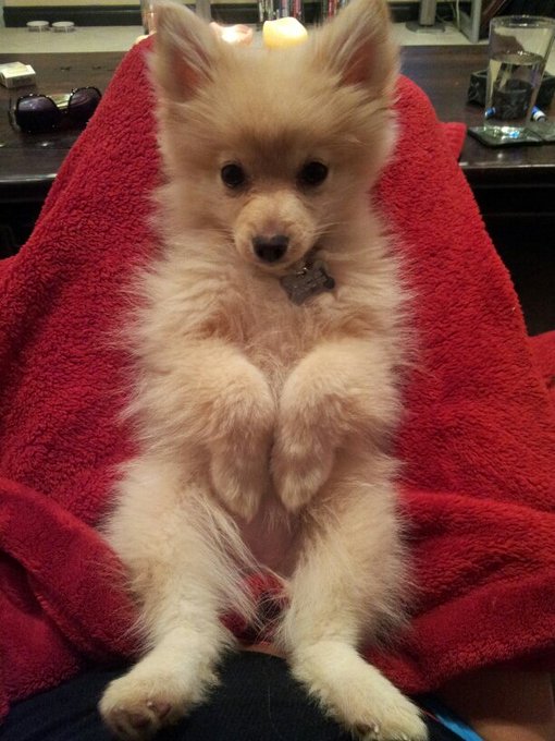 Watch The Cowdashians's leaked NSFW photo on TwXstars