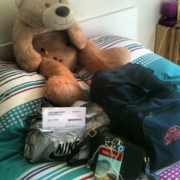 CindySararak's tweet image. I'm ready ! #flight #paris #selectif #fontainebleau #book #ipod #bordingpass #climbing#bag #frenchteam