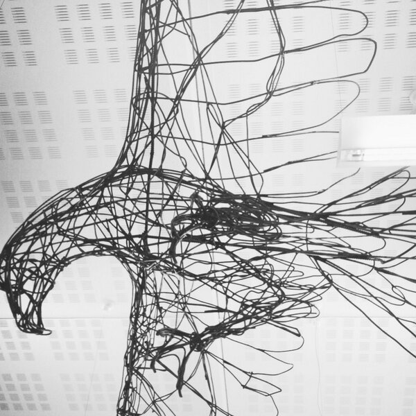 Eagle! Wasting my time at Mo i Rana AirPort! På vei til <a href="/kjerringraakk/">Kjerringråkk</a> med Stjerns!