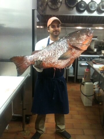 ChefJcarles's tweet photo. Pargo Fish #52lb http://t.co/d8tBttmdiw