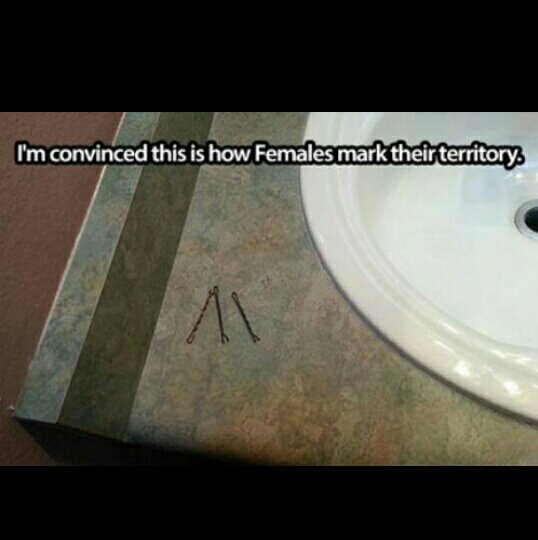 Leisen315's tweet image. Wow its so true! #NeverRealized