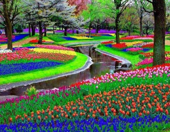 Keukenhof, The Netherlands.