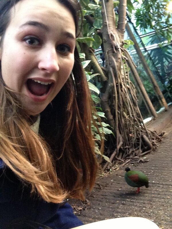 yaiza_zf's tweet photo. Found myself a fit bird today #fitty http://t.co/NZFOlAfPIF